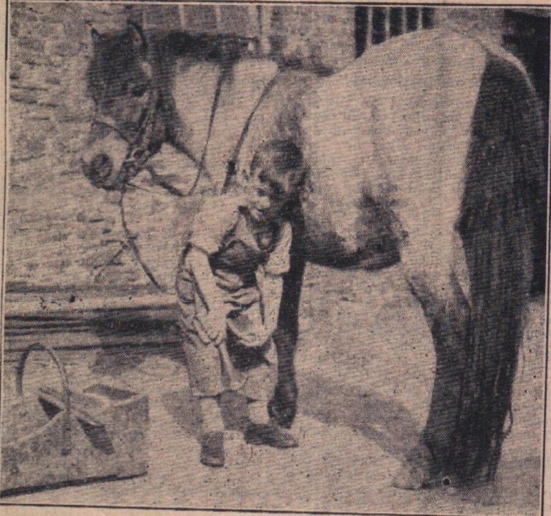 The young smith of Abbotsham><span></span>