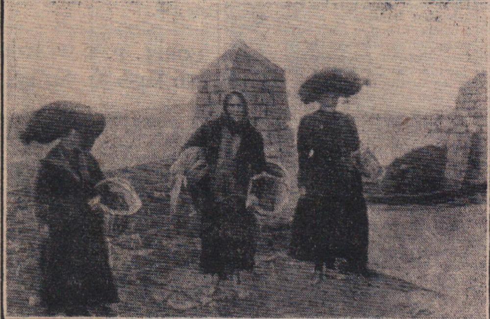 'Cries of old Appledore'<span><span></span></span>