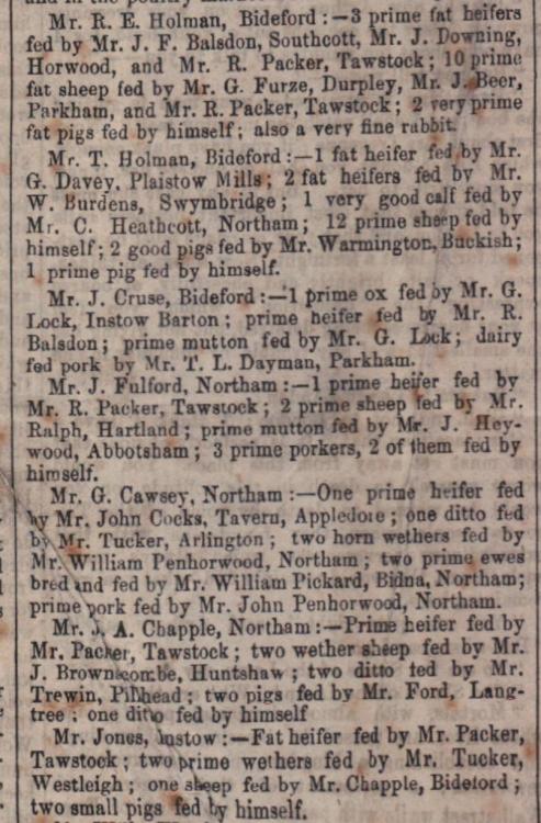 Dec 1871 Christmas market