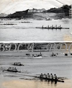 11.1814