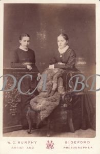 11.1895