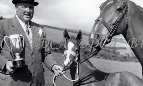 54.275