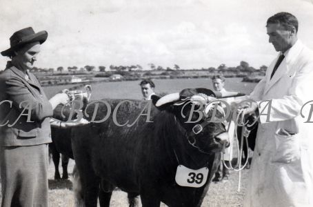 54.2803