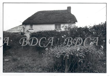 30  