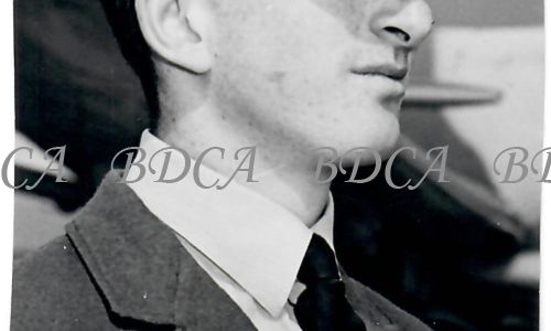 31  