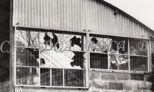 54  
