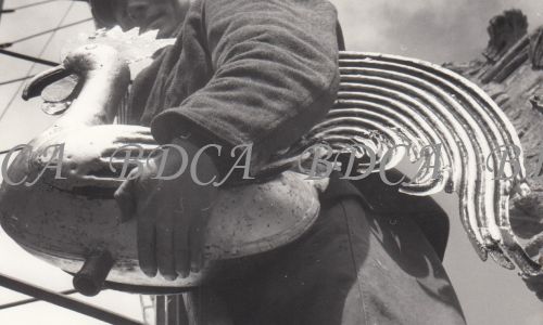 54  