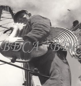 54  
