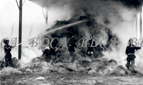 55  