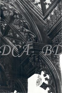 55  