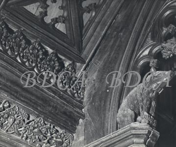 55  