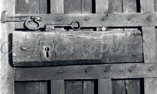 55  