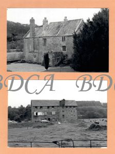 55  
