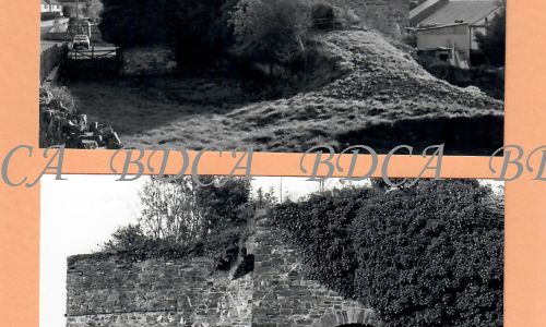 55  