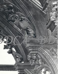 55  