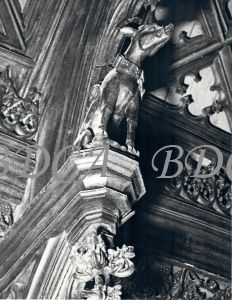 55  