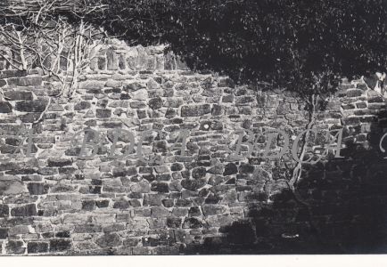 57  