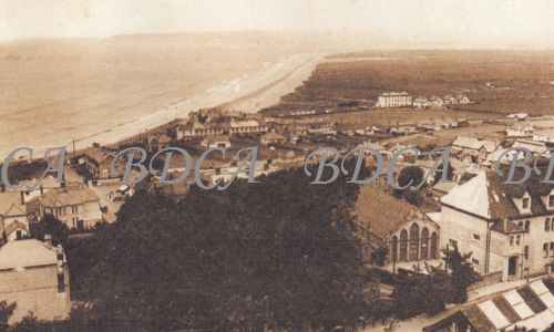 58   aerial view