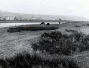 58   northam burrows