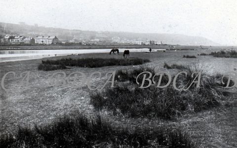 58   northam burrows