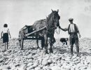 58   potwalloping horse and cart