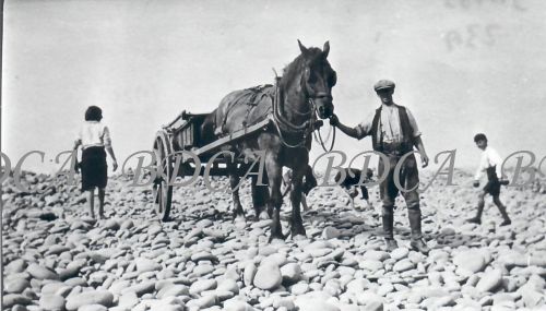 58   potwalloping horse and cart