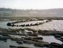 58   beach stripped of sand shipwreck