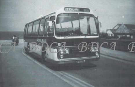 58   royal blue coach near putting green