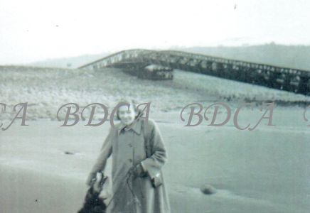 58   bailey bridge beach lady with dog