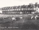 58   nelson terrace shops