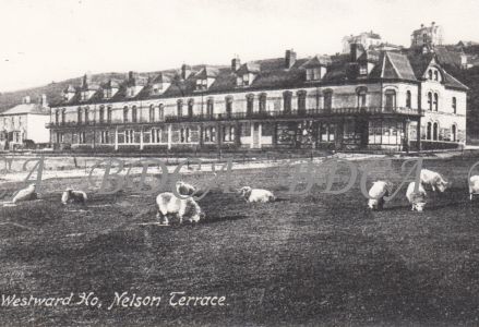 58   nelson terrace shops