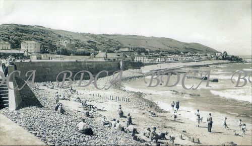 58   promenade beach huts