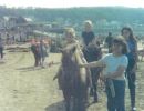 58   beach ponys