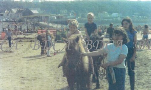 58   beach ponys