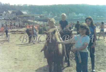 58   beach ponys