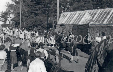 58  276  carnival kirby