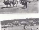 58    beach horses