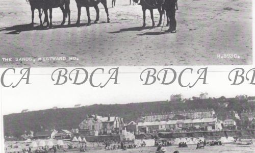 58    beach horses