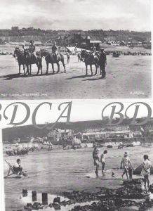 58    beach horses