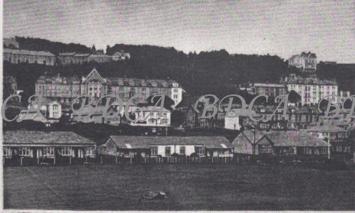 58   cricket ground