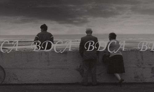 58   sea wall
