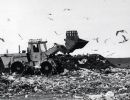 58   burrows dump