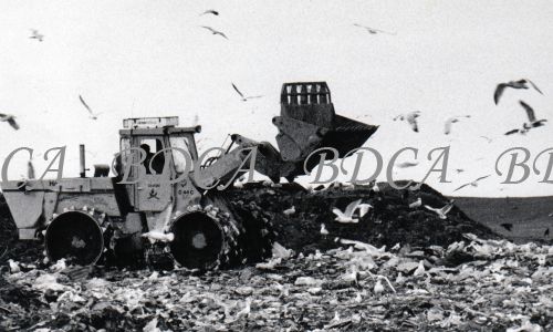 58   burrows dump