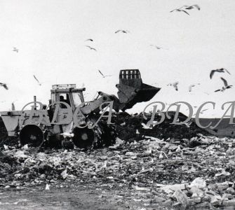 58   burrows dump