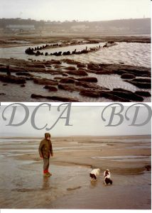 58  93a  beach after february storms
