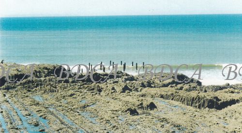 58   remains of pier