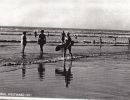 58   beach surfing